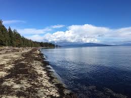 Sand Dollars And Beach For Days Review Of Rathtrevor Beach