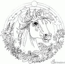 Kies een mooie paard kleurpaat uit, printen en kleuren maar. Kleurplaten Paarden Kleurplaten Kleurplaat Nl