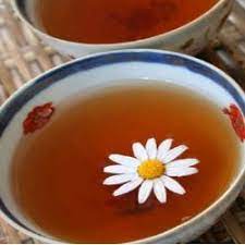Pin By Angela Holmes On The Life I Live Kava Tea Best Mixed Drinks Kava