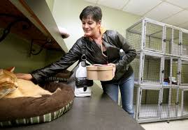 Shelter 'miracle dog' survives euthanasia, then finds forever home. No Kill Davenport Shelter Officially Opens Local News Qctimes Com