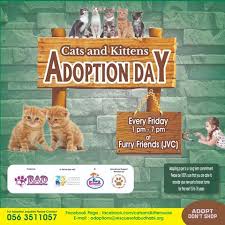 Animal abandonment is a misdemeanor offense in oregon. Jvc Community Jumeirah Village Circle Dubai Cats And Kittens Adoption Day At Furry Friends Jvc