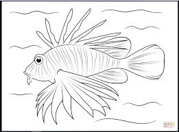 Bunga, binatang, pemandangan, buah, tersedia gratis untuk didownload. Kumpulan Sketsa Gambar Ikan Koi Lumba Lumba Hias Lengkap