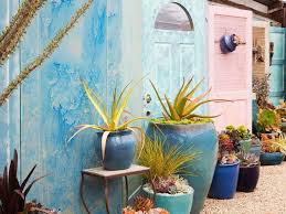 We do not ship plants on this list. Visit Succulent Gardens Boutique Succulent Nursery In Monterey County