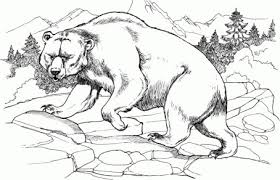 Explore our vast collection of coloring pages. 20 Free Printable Bear Coloring Pages Everfreecoloring Com