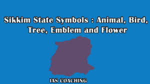 So, share your love for animals by bestowing your baby with a name inspired from an animal. Sikkim State Symbols Animal Bird Tree Emblem And Flower Youtube