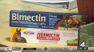 Jul 12, 2021 · ivermectin tablets are an approved by the fda for use in intestinal worms strongyloides stercoralis and onchocerca volvulus. 9nf2m9wxyqow M