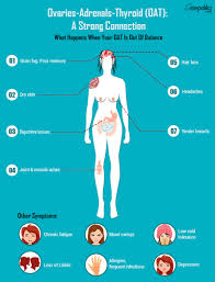 This happens due to issues in the production of the hormone's testosterone and dehydroepiandrosterone. Oat Axis Imbalance Causes Symptoms And Treatment Sepalika