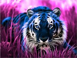 El tigre blanco el tigre blanco es el mas grande de los felinos que aun sobreviven en nuestro planeta, siendo que el tigre de siberia en libertad el libro se desploma en 7 capítulos, que se cuenta en siete noches o madrugadas. Pin De Sonnja Schau En Die Neon Und 3d Bilder Und Gifs Tigre Felino Tigres