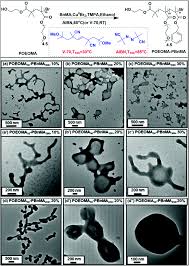 Check spelling or type a new query. Polymerization Techniques In Polymerization Induced Self Assembly Pisa Polymer Chemistry Rsc Publishing Doi 10 1039 D0py00455c