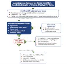 Once again, their recommendations provide. Acls Tachycardia With A Pulse Algorithm Flashcards Quizlet