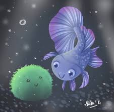 Betty Marimo Betta Fish Pet Fish Betta