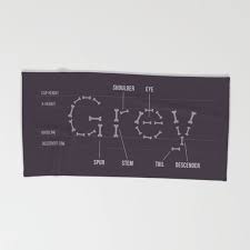 Shop for grey and yellow towels at bed bath & beyond. Grey S Anatomy Beach Towel By Slugbunny Society6 Greys Anatomy Anatomy Beach Towel