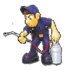 Pune corporation area ,daund , indapur , baramati,purandar , bhor and velhe taluka of pune district. Pest Control Services In Pune Eco Friendly Pest Control