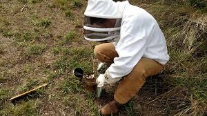 We'll explain the basics of beekeeping for the beginner, whether you're a backyard beekeeper, homesteader, hobby farmer, or a small farmer looking to start a business selling honey and other bee products.it's fairly simple to learn how to keep bees. Murdoch S Blog The Dirt Backyard Beekeeping Supplies List Murdoch S Blog The Dirt