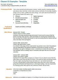 Depending on the country, you may also need to provide the following in an international cv: Cleaner Cv Example Learnist Org Cv Examples Resume Examples Free Resume Samples