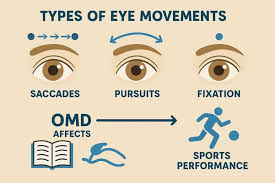 Image result for Extraocular Movement