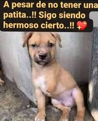 Ya Basta de Maltrato ...!!!