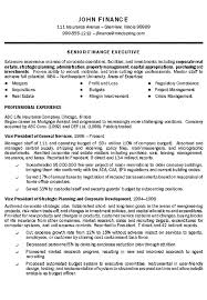 sample resume collection executive