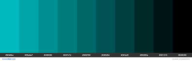 Maybe you would like to learn more about one of these? Shades Of Dark Turquoise 00ced1 Hex Color Hex Colors Cyan Color Business Aesthetic
