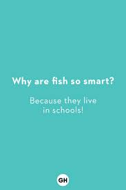 Get the new animal joke book for kids! Pin On Kids And Parenting