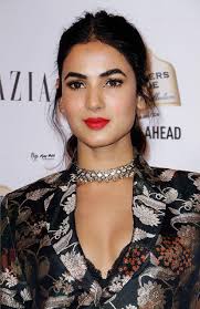 Thin diamond choker online