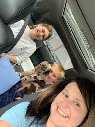 Let's welcome our new members to The House of Poodles! Allyson Lis Mason,  Rita Carbullido, Joji Montemayor, Adrian Mendiola, Cristina Reyes