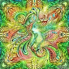 Resultado de imagen para salvia divinorum viaje