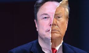 Flashback: 'Elongated Muskrat' is a nickname given to entrepreneur Elon  Musk, which is often falsely cited as his full name in troll posts