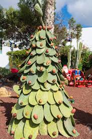 We did not find results for: Decorative Christmas Tree From Big Opuntia Cacti Chtistmas Vacation Season In Teguise Lanzarote Canary Islands Spain Stock Photo Picture And Royalty Free Image Image 92004719