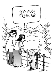 In australia, our air pollutants (which include gases, chemicals, and airborne particles) are mostly caused by vehicle emissions, industrial gases, and we've pulled together a few easy guidelines you can follow to help reduce air pollution as soon as today. Air Green Schools Programme