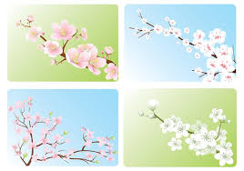 Search more hd transparent cherry blossom image on kindpng. Cherry Blossom Wallpaper Pack Free Photoshop Brushes At Brusheezy