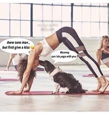 264 2k Likes 1 243 Comments Nina Dobrev Nina On Instagram Downward Dog Mrs Maverick Nina Dobrev How To Do Yoga Famous Women