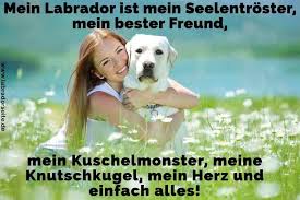 Labrador Zitate Und Sprüche