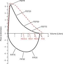 what is a pft test morgan scientific pulmonary function