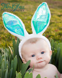 ThruGlass Photography