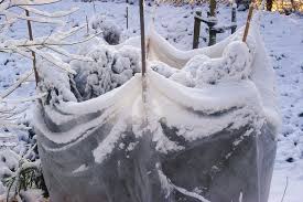 Image result for autumn wind images and drawings