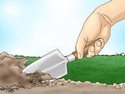 It invades your lawn, and because most varieties hug the ground closely it can be tough to spot and destroy early. 3 Ways To Remove White Clover From A Lawn Wikihow
