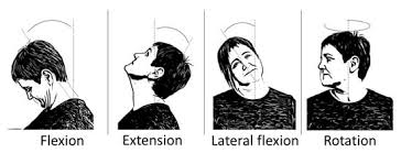 These terms come from the latin words with the same when a joint can move forward and backward, such as the neck and trunk, flexion is movement in the anterior direction.10 when the chin is against the. Sensors Free Full Text Camera Based Monitoring Of Neck Movements For Cervical Rehabilitation Mobile Applications Html