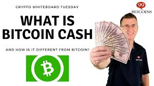 Crypto has more retail investors than any other market. What Is Bitcoin Cash A Beginner S Guide Youtube