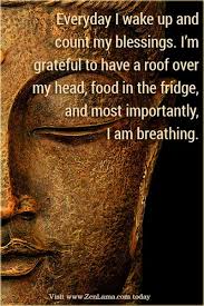 Everyday I Wake Up And Count My Blessings I M Grateful To Have A Roof Over My Head Food In The Fridge And Most Importantly Reign Quotes Mantras Daily Mantra