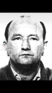 Shelley Torgerson (@s_dinome)