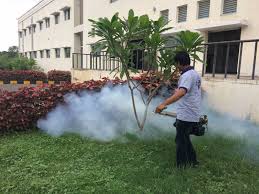 We are one of the fastest growing pest control companies in texas. 100 Best Pest Control Services For Snakes In Visakhapatnam Andhra Pradesh Nearmetrade