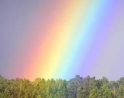 Maybe you would like to learn more about one of these? Ù†ØµØ§Ø¦Ø­ ØªØµÙ…ÙŠÙ… Ø§Ù„Ø¥Ù†Ø§Ø±Ø© Ar Twitter ÙŠØªÙƒÙˆÙ† Ù„ÙˆÙ† Ø§Ù„Ø¶ÙˆØ¡ Ø§Ù„Ø·Ø¨ÙŠØ¹ÙŠ Ù…Ù† Ù§ Ø§Ù„ÙˆØ§Ù† ØªØ´ÙƒÙ„ Ù„ÙˆÙ† Ø§Ù„Ù‚ÙˆØ³ Ù‚Ø²Ø­ ÙˆØªØ¸Ù‡Ø± Ø¹Ù†Ø¯ Ø§Ù†ÙƒØ³Ø§Ø± Ø§Ù„Ø¶ÙˆØ¡ Ø¹Ù† Ø·Ø±ÙŠÙ‚ ÙˆØ³Ø· Ø´ÙØ§Ù Ù…Ø«Ù„ Ù‚Ø·Ø±Ø§Øª Ù…Ø§Ø¡ Ø§Ù„Ù…Ø·Ø± ÙŠØªØ¨Ø¹ Ù…ØµØ·Ù„Ø­Ø§Øª Ø§Ù†Ø§Ø±Ø© Https T Co Vx0xscsxwq