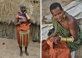 Image result for Selago barabei