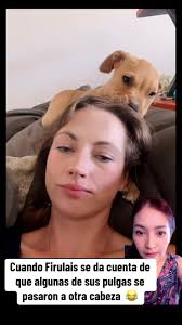 #firulais #lol #🤭 #haha