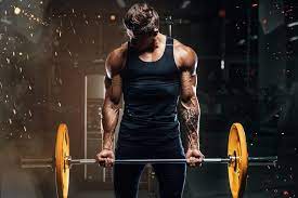 Can You Gain Muscle And Lose Fat At The Same Time?