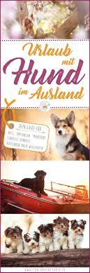 Urlaub Mit Hund Im Ausland Das Ist Zu Beachten Urlaub Mit Hund Hund Reisen Hunde