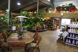 Pin On Gardencenter Ideas