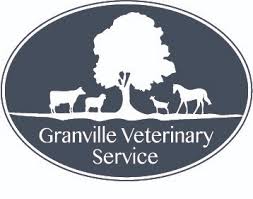 Pet vet care clinic is one of such places. Granville Veterinary Service P C A Large Animal Vet In Granville Ny