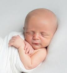 Pierce Movitz Obituary (2020)